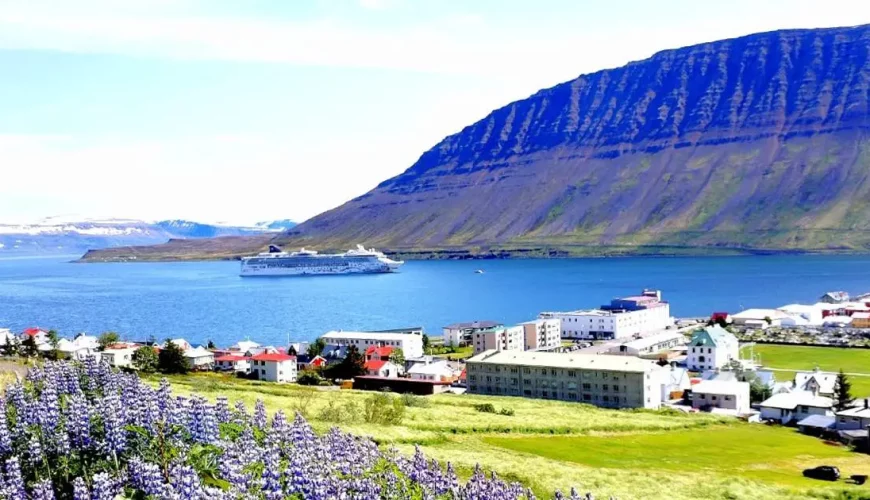 Isafjordur Iceland Cruise Port Guide, Things to Do, Excursions | DastaanTours