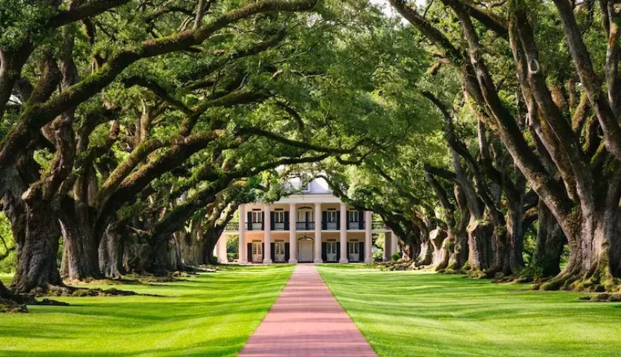 21 Most Beautiful Places to Visit in Louisiana | Dastaan Tours