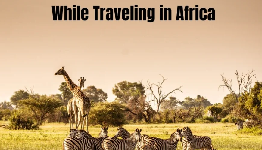 Places You Can Stay While Traveling In Africa | Dastaan Tours