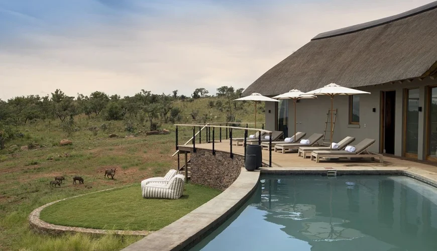 Ultimate Guide to Eco-Friendly Safari Lodges in South Africa | Dastaan Tours